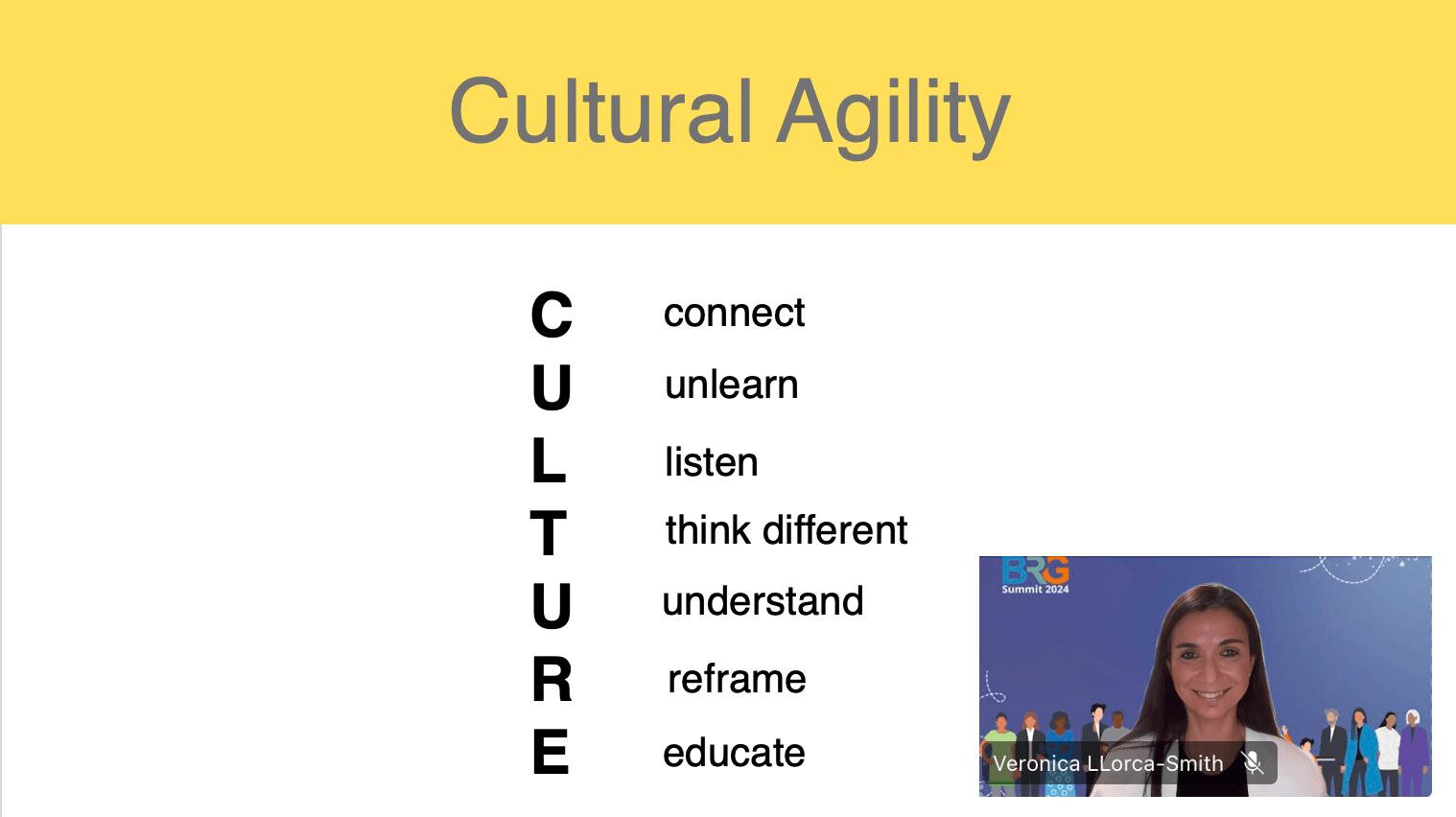 Screenshot of the session on Cultural Agility